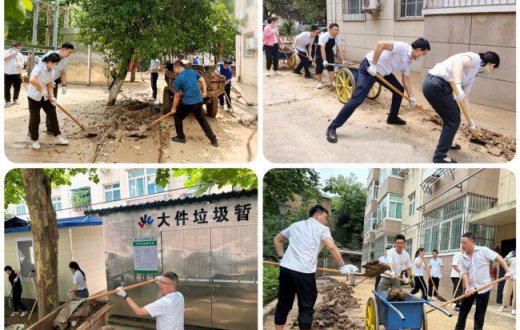 黨旗在防汛救災一線飄揚 —— 國資公司機關黨支部聯合正能實業黨總支共同開展淤泥清理工作